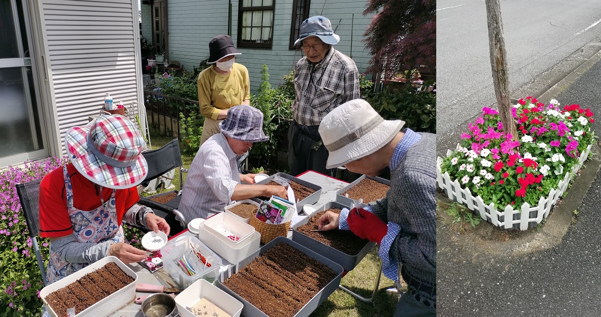 夏花種の植付